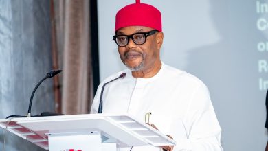 Uche Nnaji’s Certificate Forgery: What Nigerian laws say