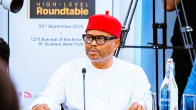 BREAKING: Certificate Forgery: Embattled Minister Geoffrey Nnaji resigns