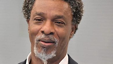 What to make of the populist nationalist challenge to democracy, By Uddin Ifeanyi