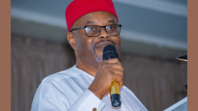 Certificate Forgery: Group demands Nnaji’s resignation