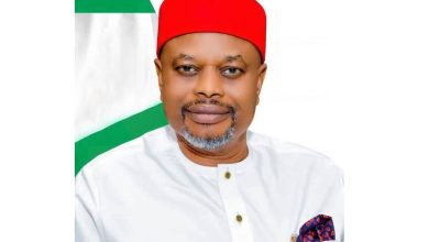 EXCLUSIVE: Minister Uche Nnaji confesses: ‘UNN never issued me degree certificate’