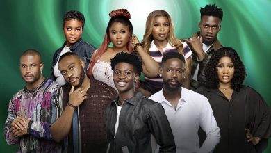 BBNaija Season 10 set for historic finale, stream live on Showmax
