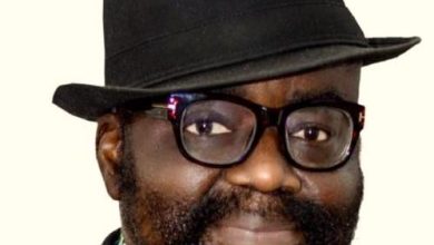 Nigeria’s undeclared war, By Wole Olaoye