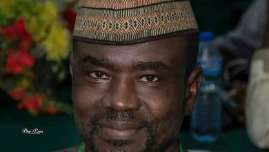 Irabor: Nigeria, the scars of Boko Haram and the dead horse theory, By Yushau A. Shuaib