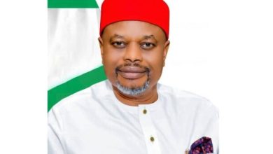 Certificate Scandal: Why I resigned as minister – Uche Nnaji