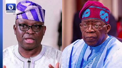 Don’t Blame Tinubu For Problems In PDP — Fayose