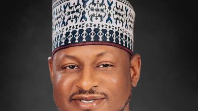 Similarity of Tinubu’s ward dev’t initiative with  Katsina’s pioneer  model excites Gov Radda