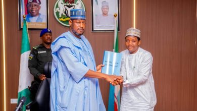 Gov Radda inaugurates committees for community dev’t