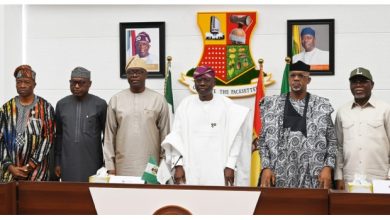 South-West Govs Renew Call For State Police, Approve Security Fund