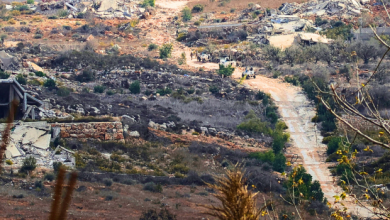 13 Dead In Israeli Strike On Palestinian Camp In South, Says Lebanon