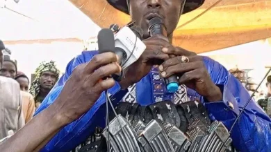 Katsina: 20 LGAs Sign Truce With Bandits Amid Renewed Attacks