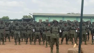 FG Deploys 7,000 Forest Guards To Tackle Banditry