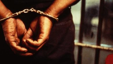 Police Nab Robbery Suspect, Recover Guns In Ogun