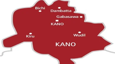 Kano Hisbah Nabs Nine Prostitutes