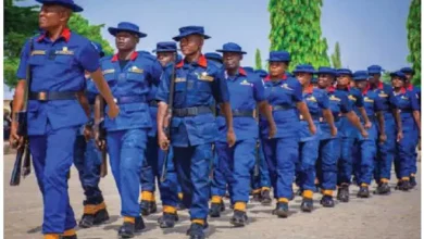 NSCDC Lacks Capacity For VIP Protection — Ex-DSS Director NSCDC Lacks Capacity For VIP Protection — Ex-DSS Director