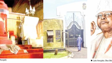 Ijebu Professionals Hail Ogun Govt Over Suspension of Awujale Selection Process