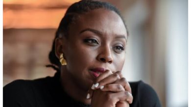 Sanwo-Olu Orders Probe Into Death of Chimamanda Adichie’s Son