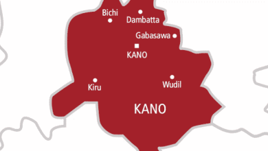 Assailants Wipe Out Family of 7 In Kano