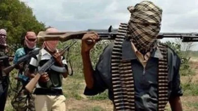 Amnesty Deal: Residents Kick As Katsina Moves To Release 70 Bandits