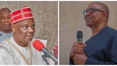 2027: Peter Obi Candidacy With Kwankwaso Will Make Villa Lose Sleep  -Iroegbu