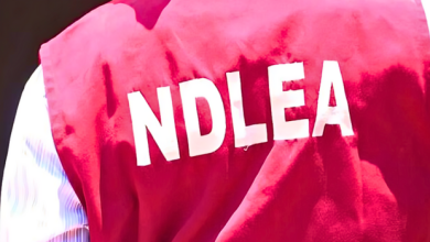 NDLEA Nabs 80-Year-Old Ex-Convict, Uncovers Illicit Drugs Hidden In Mannequins