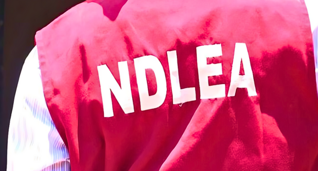 NDLEA Nabs 80-Year-Old Ex-Convict, Uncovers Illicit Drugs Hidden In Mannequins NDLEA Nabs 80-Year-Old Ex-Convict, Uncovers Illicit Drugs Hidden In Mannequins