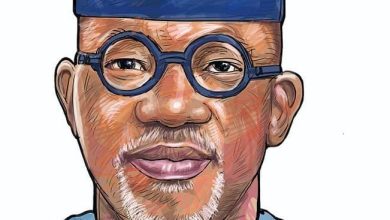 Ogun East Senate 2027: Your Voice, Your Future, Your Leader – Stand With Dapo Abiodun