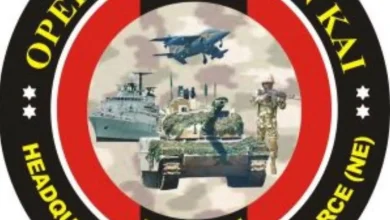 Army Dismisses Reports On Murder of 40 Soldiers In Borno