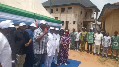 ‘Fuel Subsidy Was A Big Scam’ – Ex-Minister Ikoh