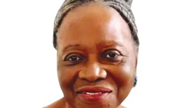 LG Autonomy Key To Fixing Primary Healthcare   -Prof Adenike Grange, Former Health Minister