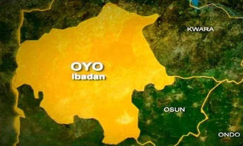 One Dead, Another Missing As Elephant Attacks Oyo Community