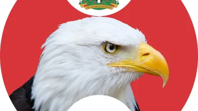 EFCC Arraigns Two Over Alleged N8.9m Investment Fraud