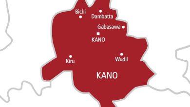 Missing Kano Teen Reunited With Family After 13 Years