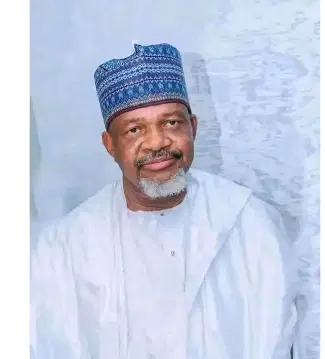 Kebbi Assembly Speaker Muhammad Usman Zuru Dies In Egypt
