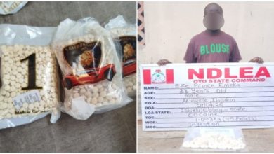 NDLEA Intercepts Terror Drug ‘Captagon’ In Kwara As Businessman Excretes 45 Cocaine Wraps
