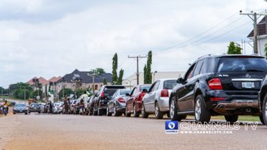 Court Stops Police, FRSC From Imposing Third-Party Insurance Fines On Motorists