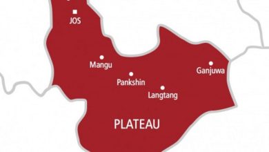 Plateau Killings: Soldiers Guard Cows, Failed To Confront Our Attackers – Bokkos Woman Alleges