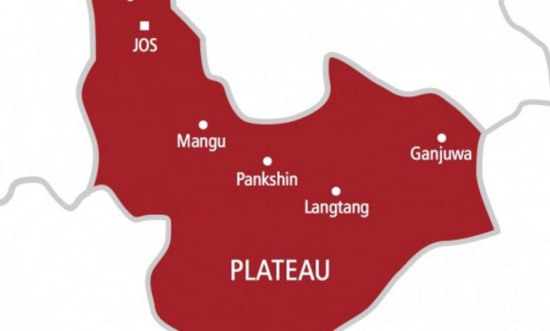 Plateau Killings: Soldiers Guard Cows, Failed To Confront Our Attackers – Bokkos Woman Alleges