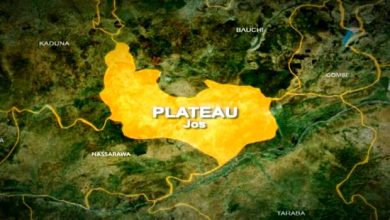 Eight Killed As Terrorists Invade Plateau Community