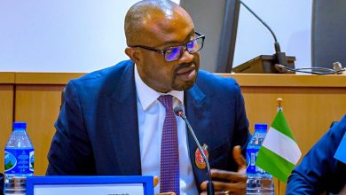 Over 840,000 Foreigners Have Overstayed In Nigeria, Their Visa Expired — Interior Minister