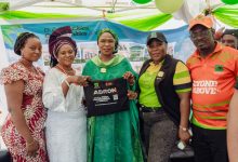Adron Homes Powers Ibadan Cultural Festival, Strengthens Cultural Influence