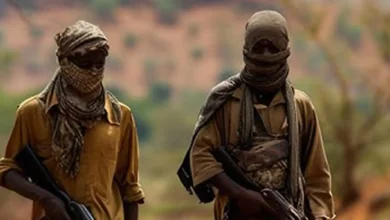 Rival Terrorist Factions Clash In Kebbi, Raising Fresh Security Concerns