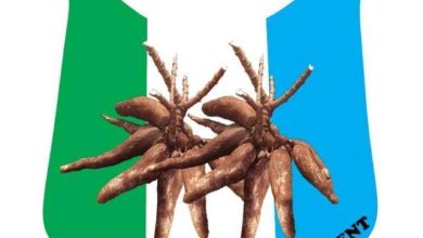 2027: APM Woos Ogun Aspirants With Automatic Tickets