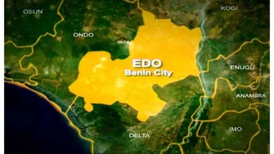 Children’s Day: Several Students Hospitalised, Others Injured As Security Operatives Deploy Pepper Spray