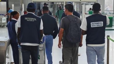 Police Arrest, Extradite Chinese Fugitive Over 5m Ponzi Fraud Allegations