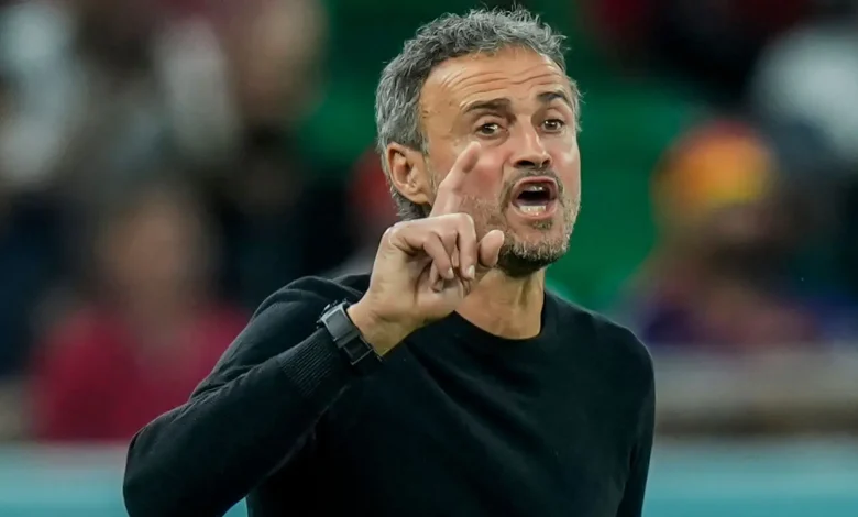 ‘He’s My Role Model’ – PSG Coach, Luis Enrique Names Best Manager of All-Time