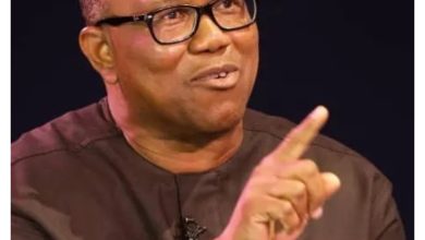 Don’t Come Here, Allow Us Build NDC In Peace – Peter Obi Dares Tinubu Govt