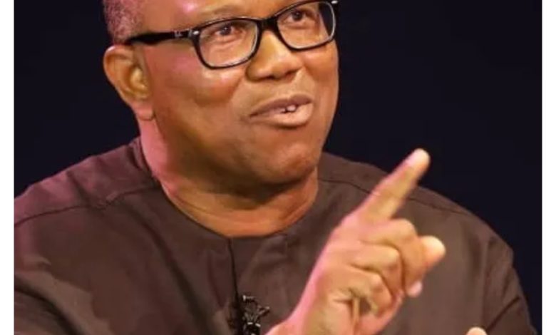 Don’t Come Here, Allow Us Build NDC In Peace – Peter Obi Dares Tinubu Govt