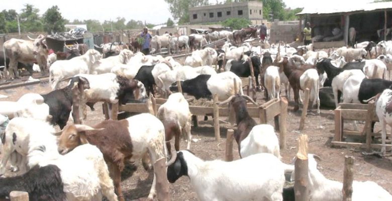 Eid-El-Kabir: Prices of Rams, Other Commodities Skyrocket As Muslims Prepare For Celebrations