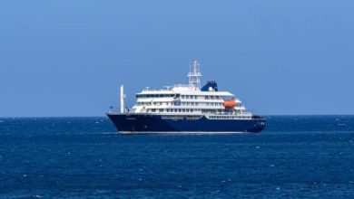 Three Die On Atlantic Cruise Ship From Suspected Hantavirus — WHO